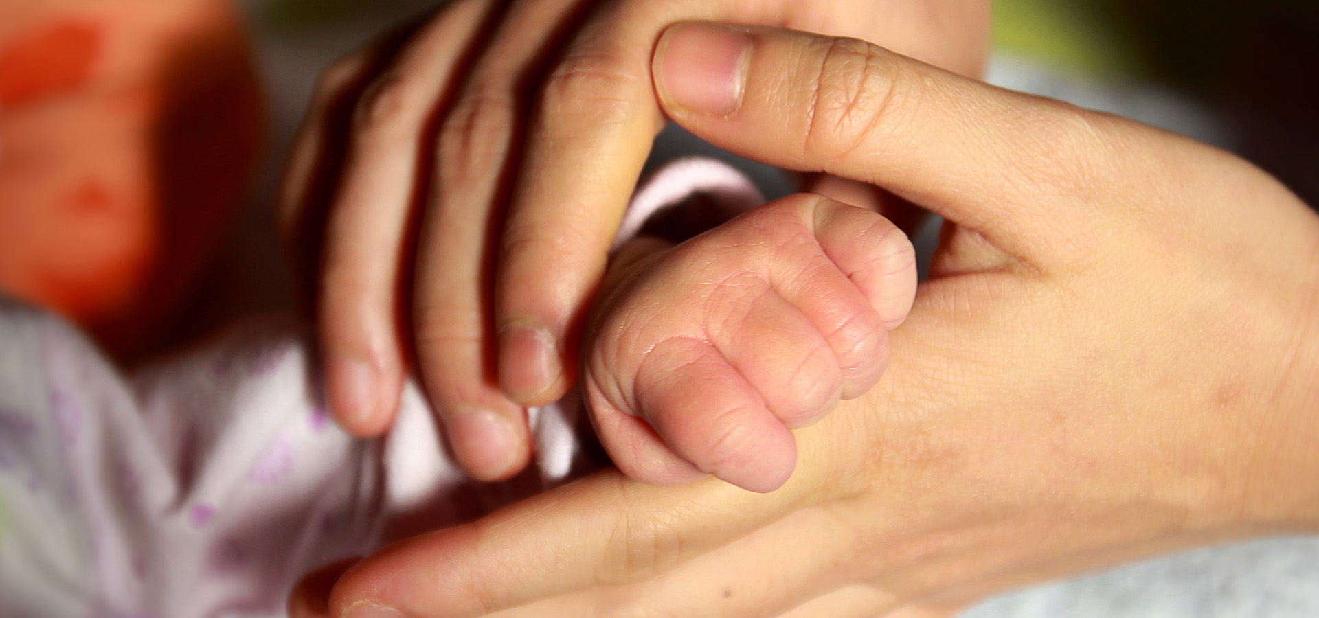 JZCF 慈心奉献爱 善举暖人心