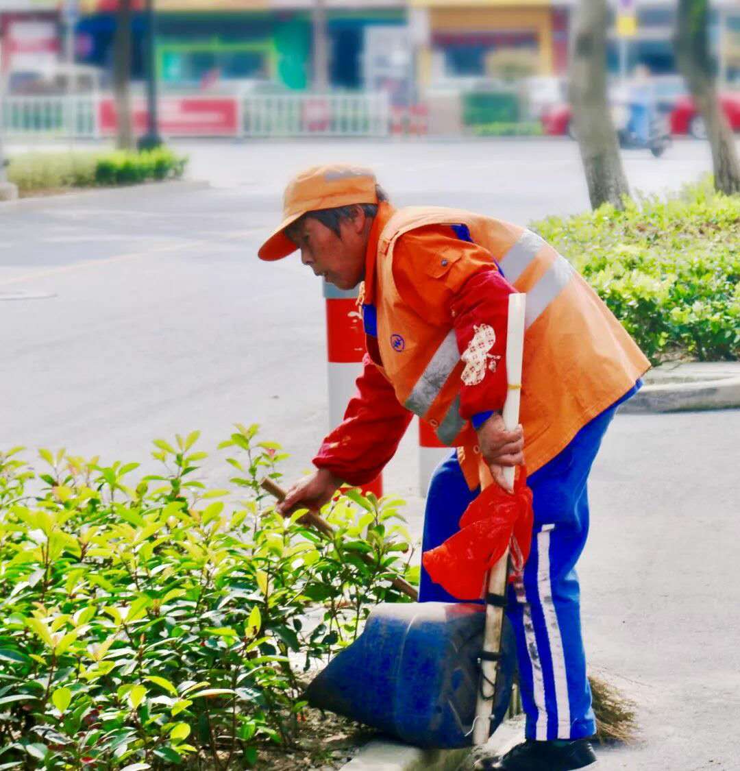 15980065452832.jpg 15980065452832.jpg